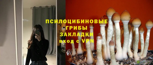 хмурый Балабаново