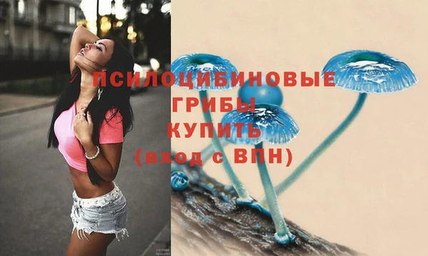 бошки Баксан