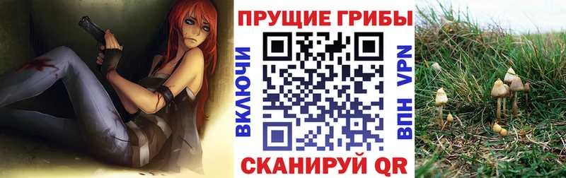 магазин продажи наркотиков  ссылка на мегу зеркало  Псилоцибиновые грибы Cubensis  даркнет официальный сайт  Лебедянь 